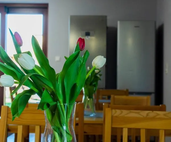 Проживание в семье Nafali *